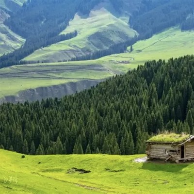 चीन में 20 बेहतरीन कैंपिंग स्थल, किफायती और आरामदायक! (भाग दो)
